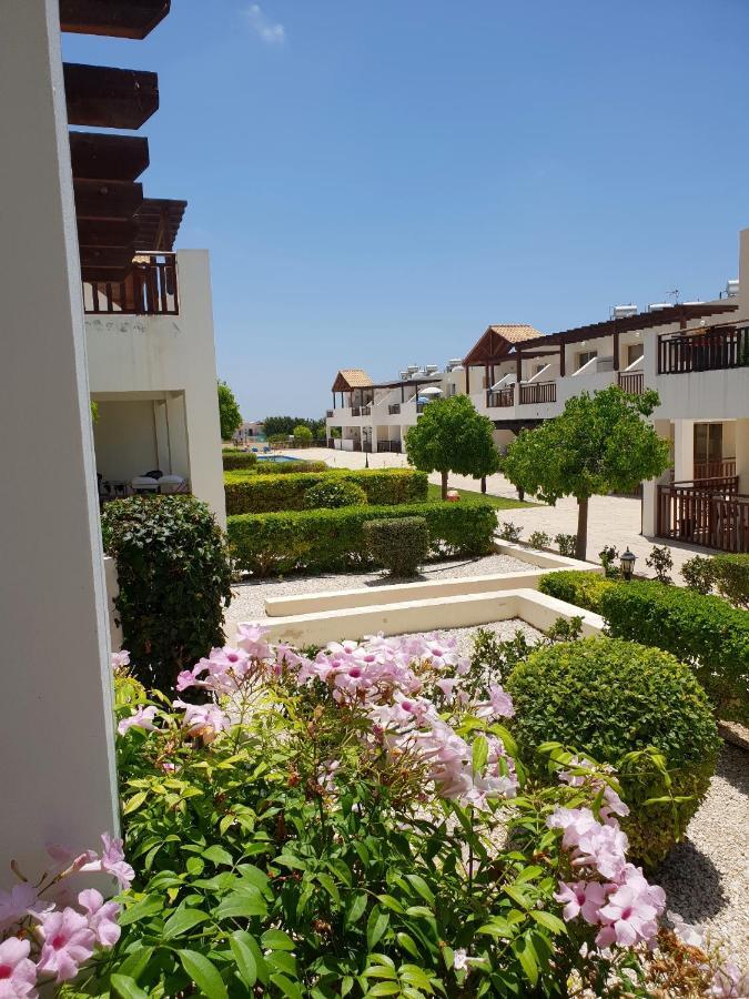 Ground Floor One Bedroom Apartment, Vanessa Complex Peyia Dış mekan fotoğraf